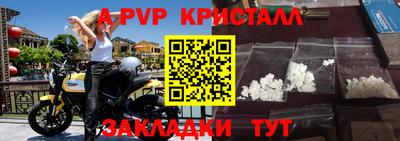 амф Можга